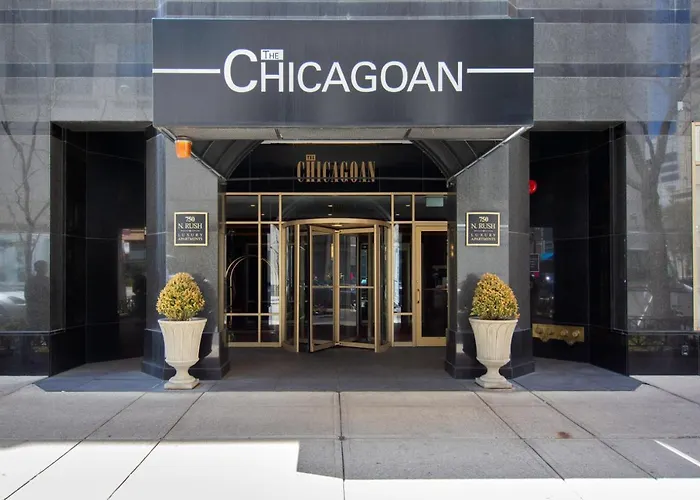 River N 1br W Gym Wd Nr Magnificent Mile Chi-54